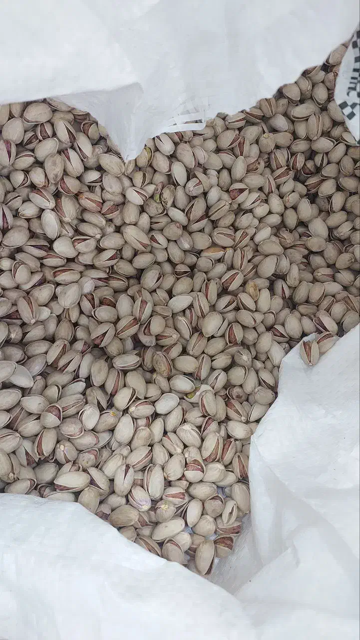 پسته درجه۱|خوردنی و آشامیدنی|مه ولات, |دیوار