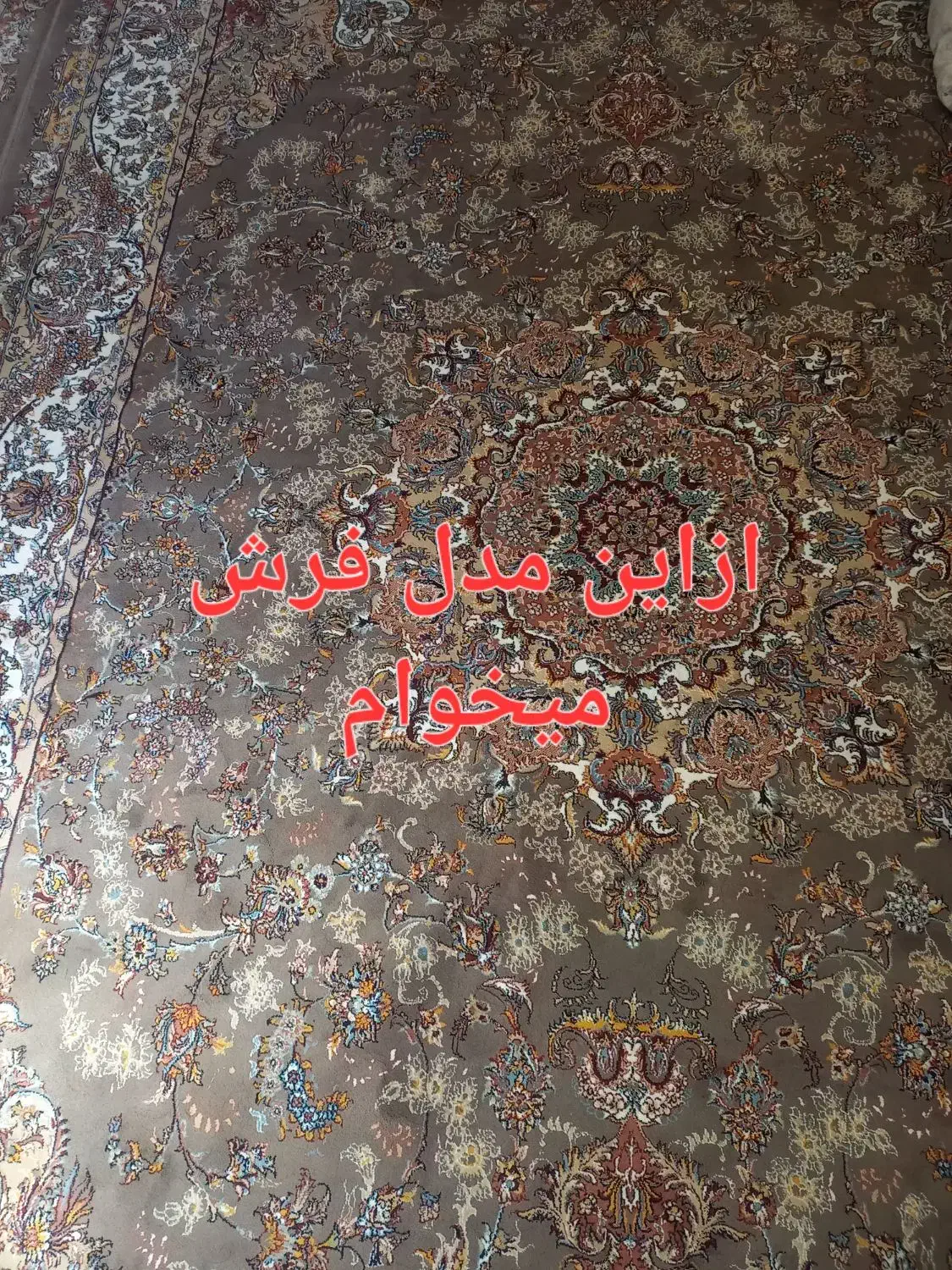 فرش گردویی|فرش|سنندج, |دیوار
