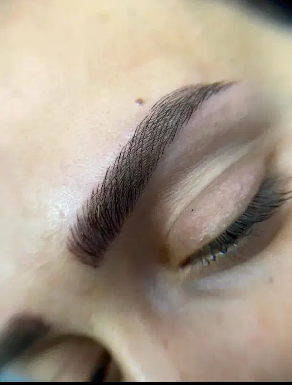 مدل رایگان شیدینگ لب و میکرو ابرو|خدمات آرایشگری و زیبایی|اسلامشهر, باغ فیض|دیوار