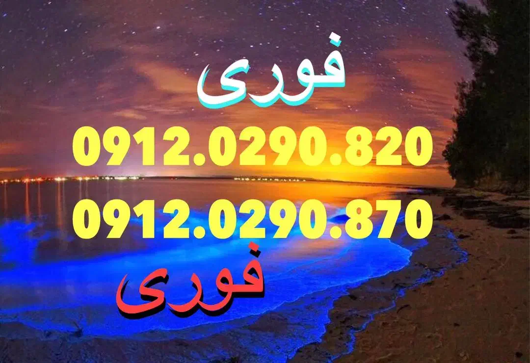 0912.0290.820|سیم‌کارت|تهران, امیر بهادر|دیوار