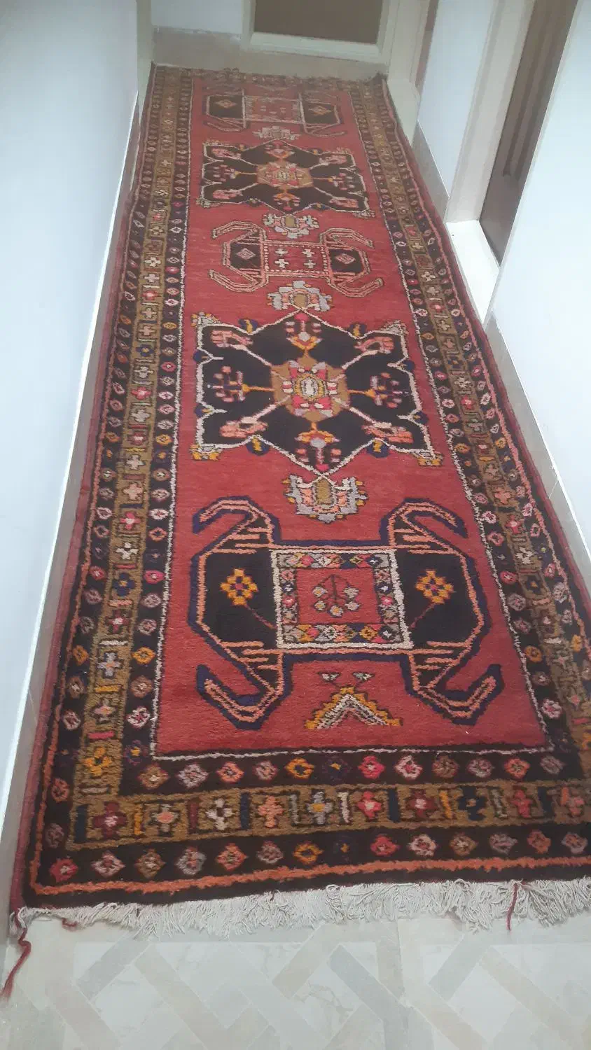 فرش کناره دست بافت و گلیم قدیمی|فرش|مراغه, |دیوار