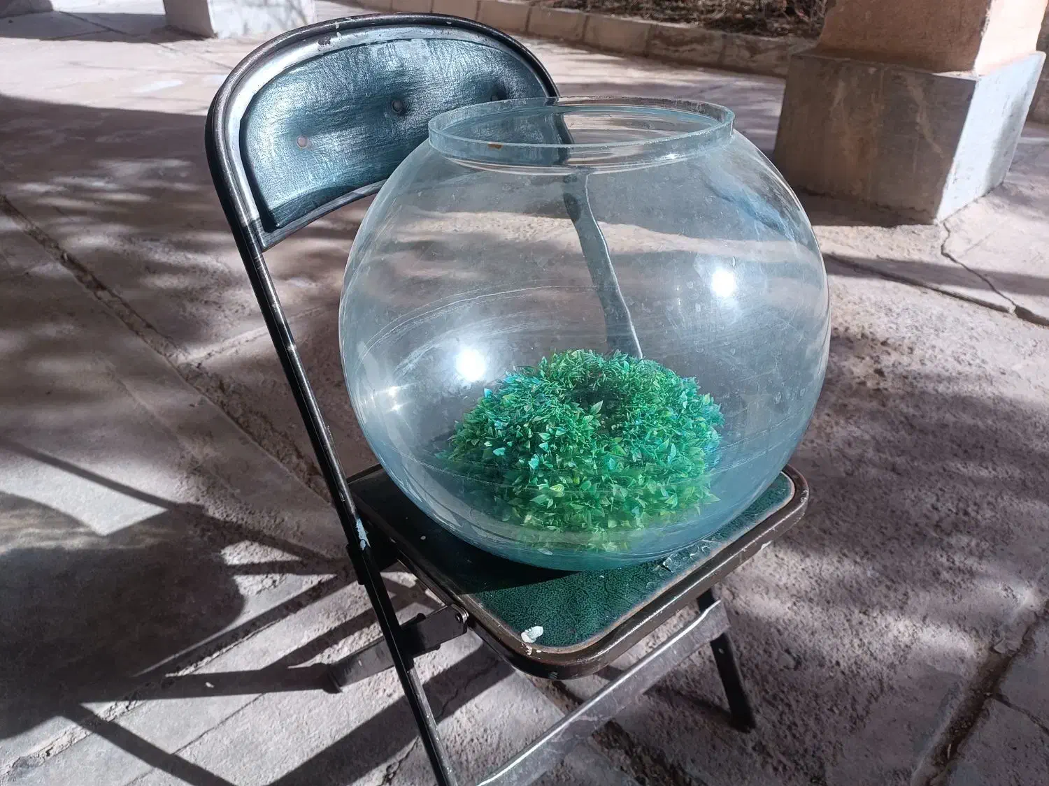 تنک ماهی|ماهی|تبریز, |دیوار