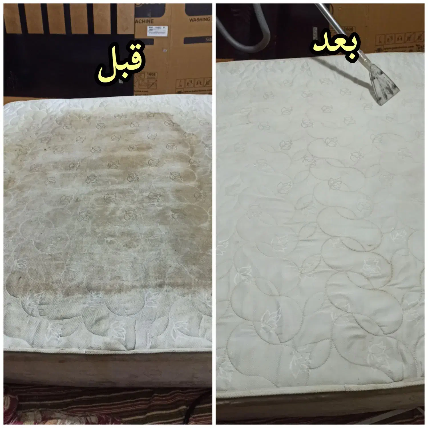 مبل شویی و قالیشویی در منزل بدون جابهجایی|خدمات نظافت|بندرعباس, |دیوار