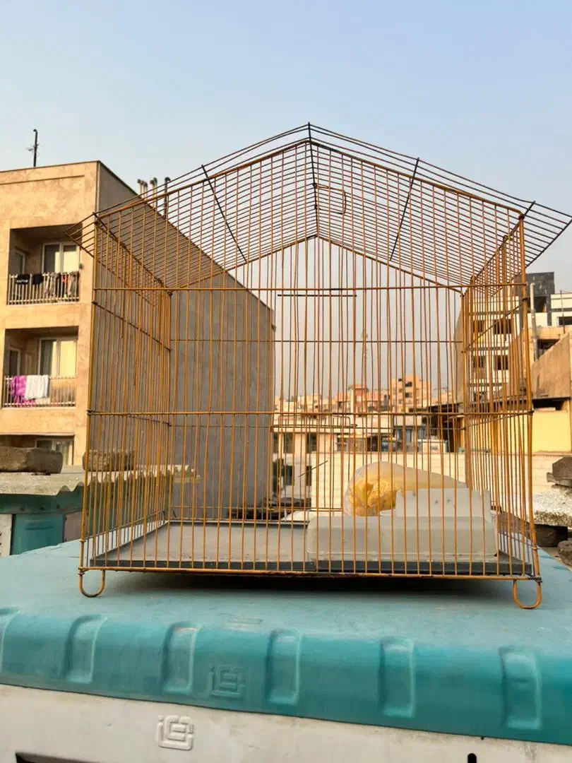 قفس|لوازم جانبی حیوانات|تهران, اوقاف|دیوار