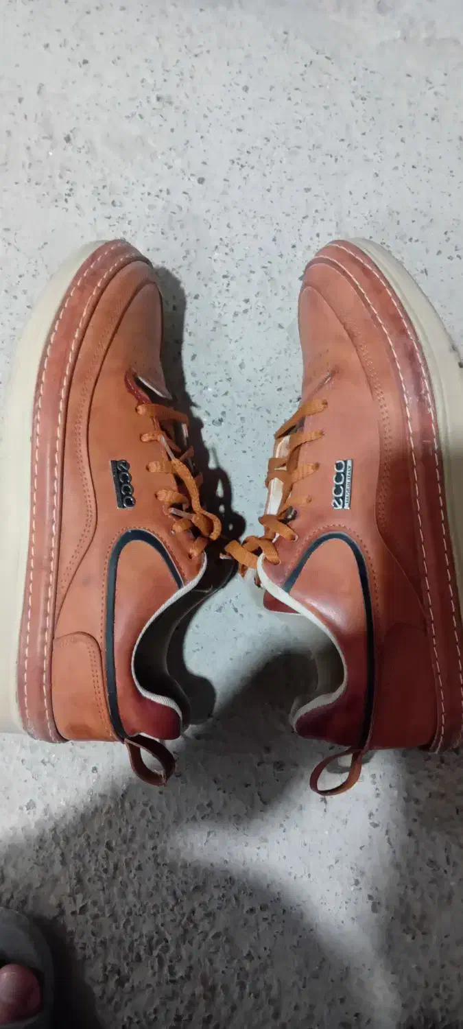 کفش|کیف، کفش، کمربند|بجنورد, |دیوار