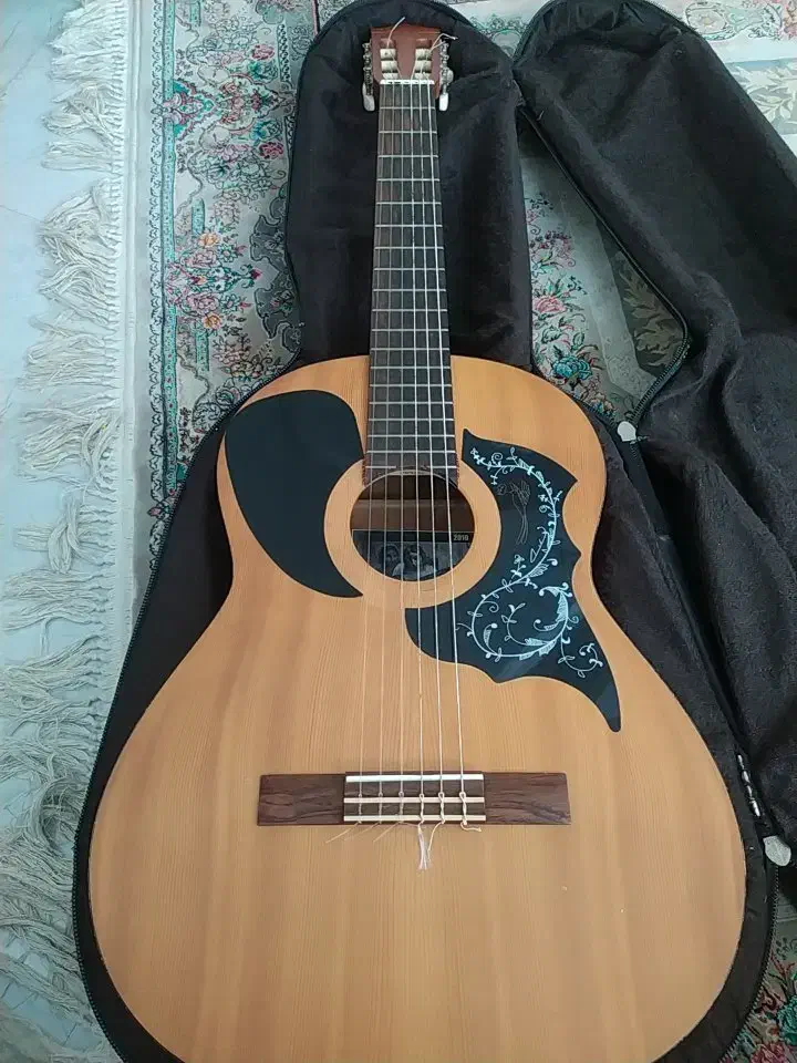 یک عدد گیتار کاملاً سالم وبدون ایراد و دست ساز|گیتار، بیس، امپلیفایر|چالوس, |دیوار