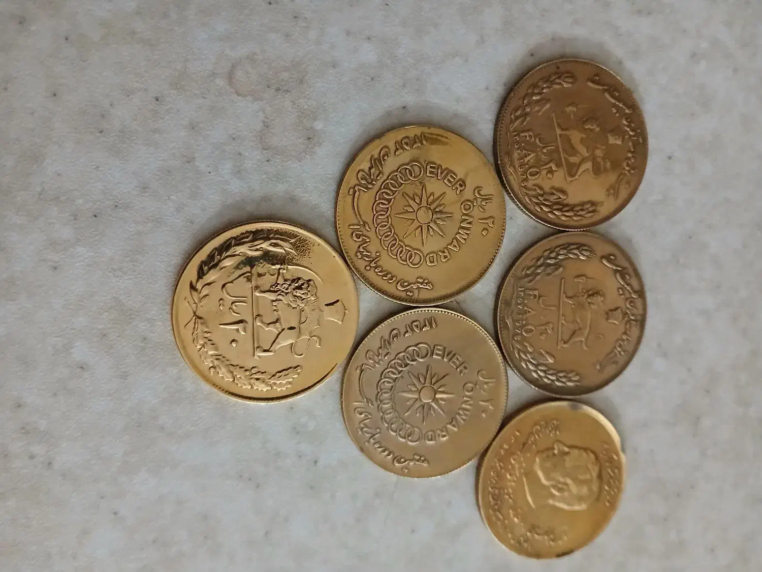 ۶عددسکه۲۰ریالی پهلوی طلائی|کلکسیون سکه، تمبر، اسکناس|کرج, شهرک بنفشه|دیوار