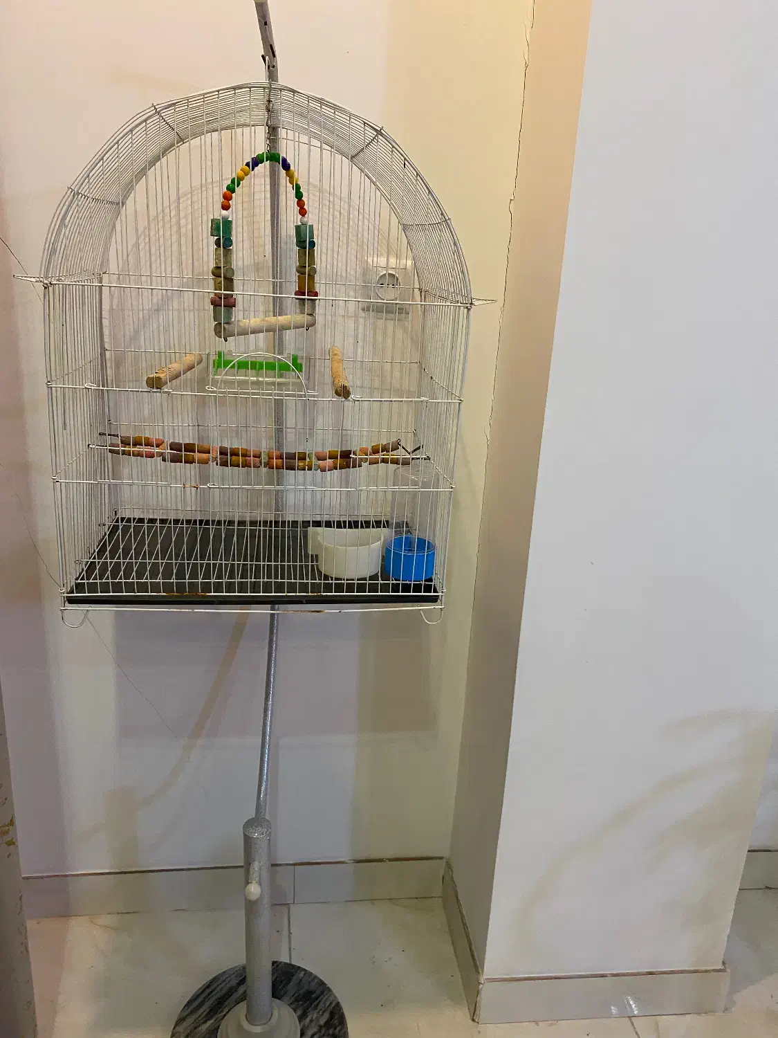 قفس پرنده پایه دار|لوازم جانبی حیوانات|ساوه, |دیوار