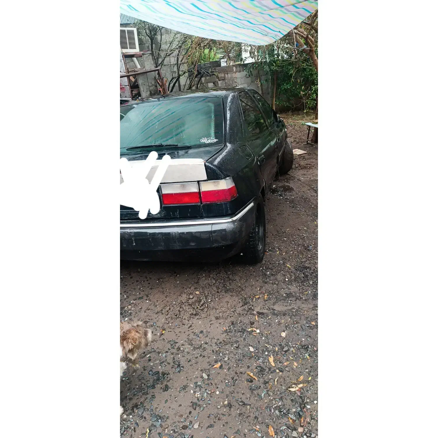 زانتیا 2000|خودرو سواری و وانت|لنگرود, |دیوار