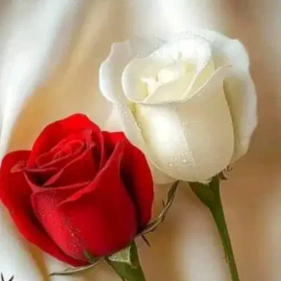 راهنمایی وام گرفتن|فعالیت داوطلبانه|شهرکرد, |دیوار