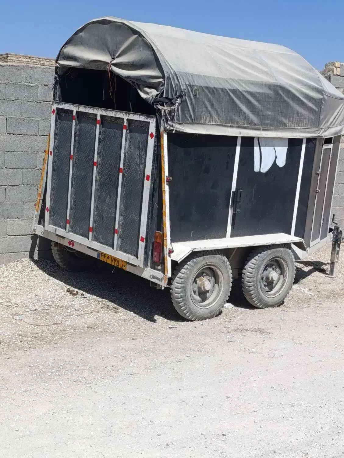 اسبکش دو اسب آماده به کار|اسب و تجهیزات اسبسواری|برخوار, |دیوار