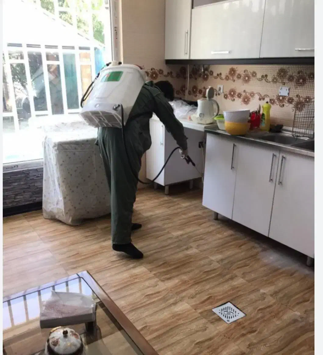 سمپاشی باضمانت۲ساله بدون نیاز به شستوشو.بهترین قیم|خدمات نظافت|کیش, |دیوار