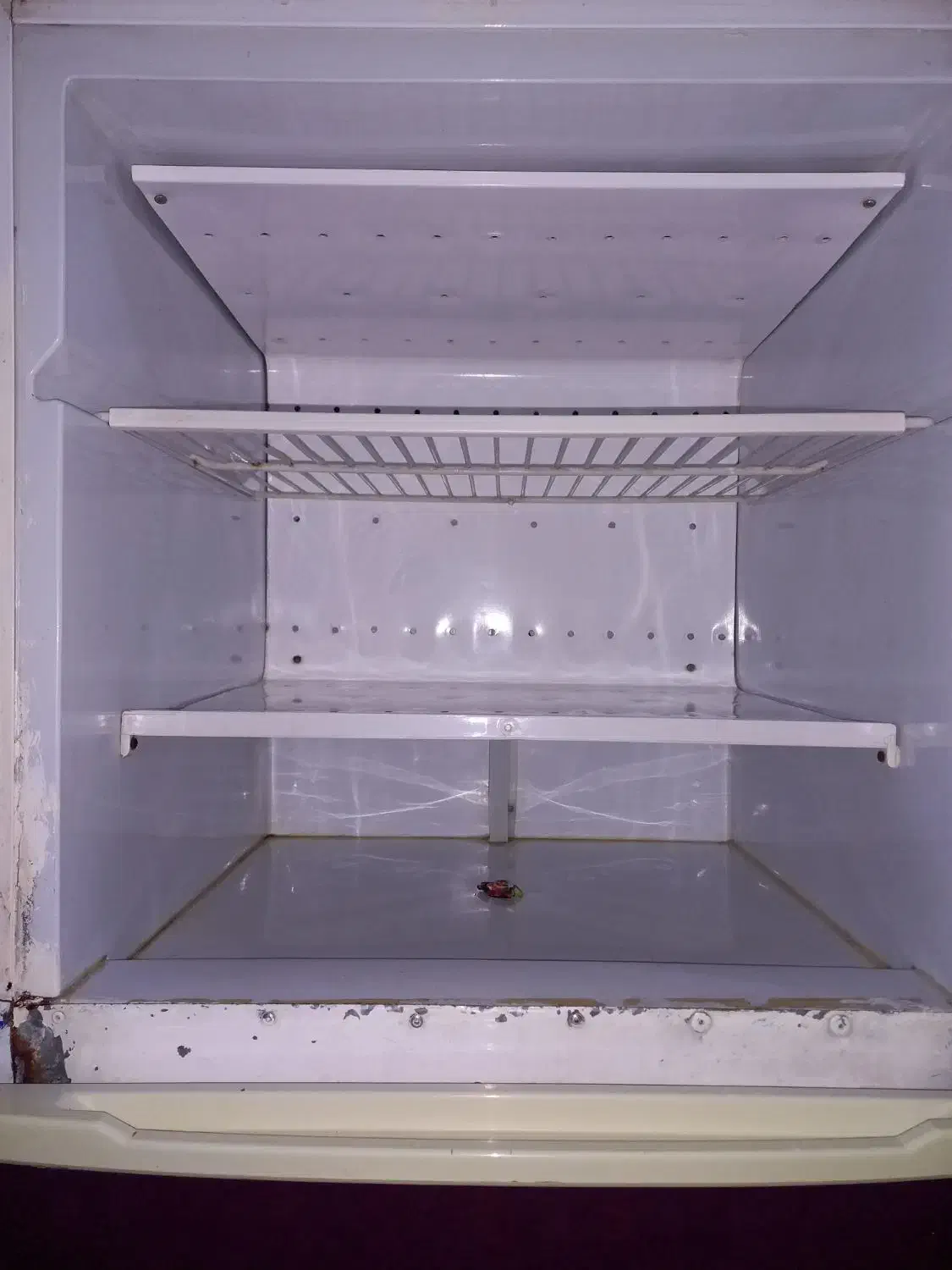 یخچال فریزر ویخچال|یخچال و فریزر|برازجان, |دیوار