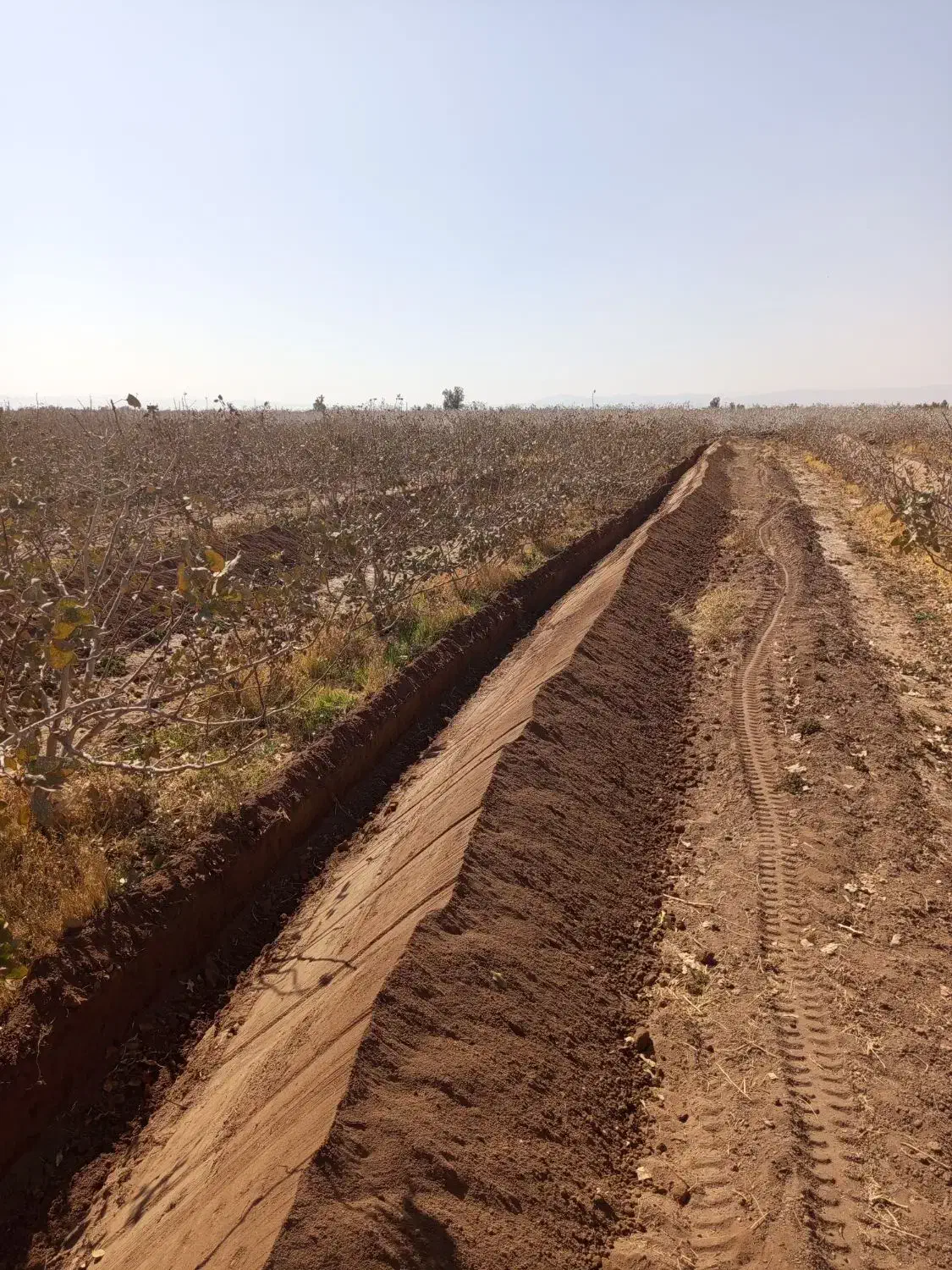 دستگاه ترنچر برای چاله کودی بسیار تمیز..|خدمات باغبانی و درختکاری|رفسنجان, |دیوار