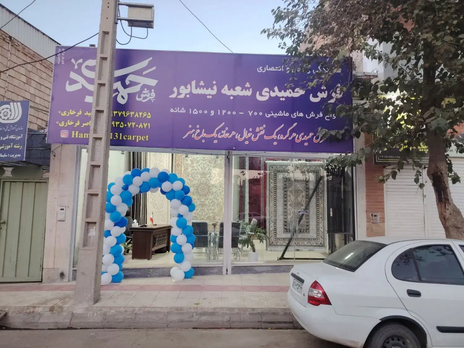 نمایندگی فرش حمیدی(کاشان) شعبه نیشابور|فرش|نیشابور, فردوس شمالی|دیوار