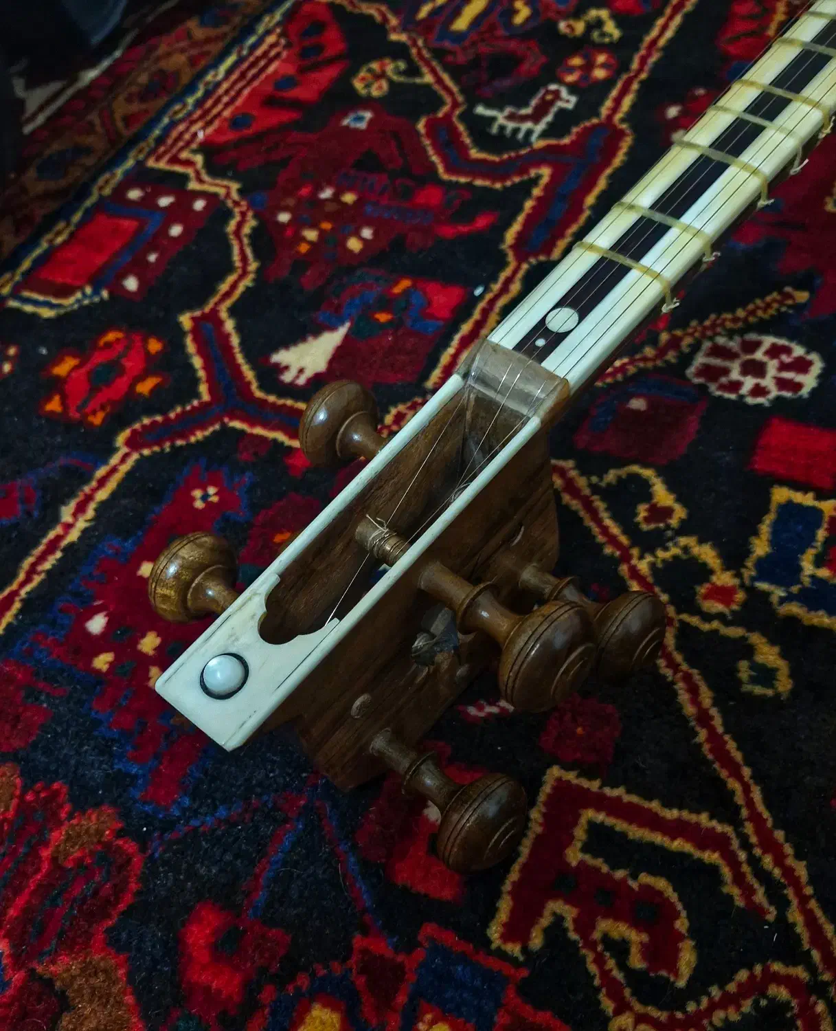 تار حرفه ای اعلا میثم علیاری|سازهای سنتی|پاکدشت, پاکدشت (مامازند)|دیوار