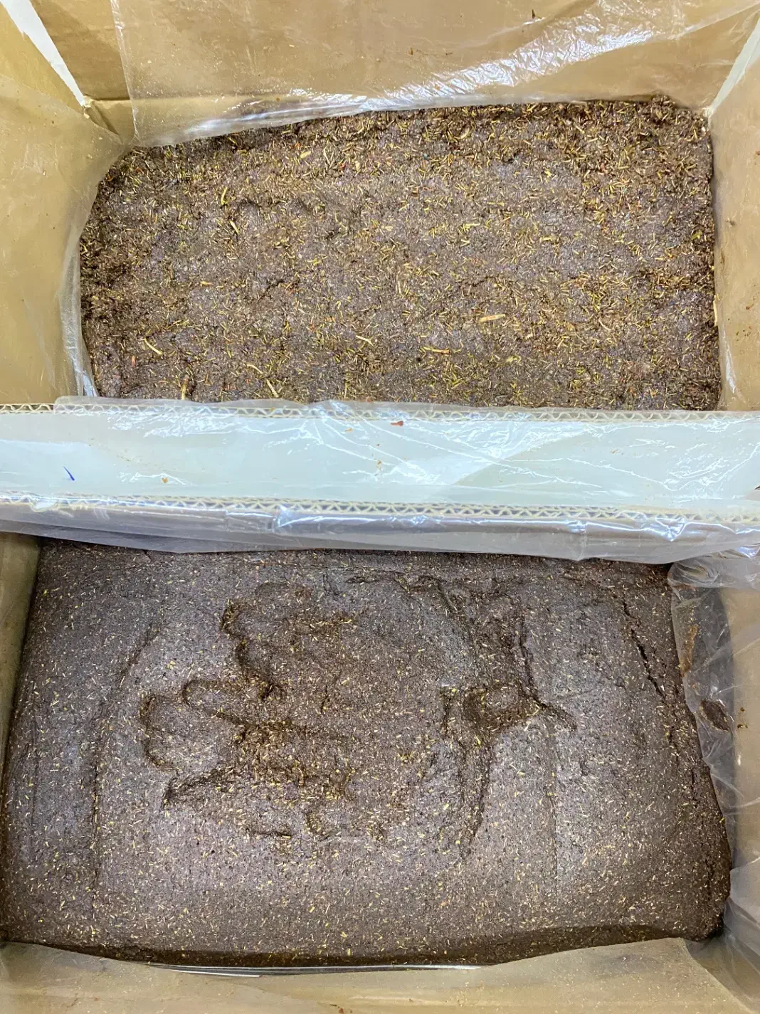 کشمش حلوایی و خمیر کشمش|خوردنی و آشامیدنی|تاکستان, |دیوار