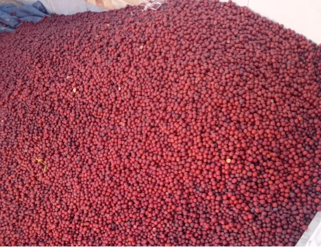 عناب جون شیرین وگوشتی|خوردنی و آشامیدنی|بافق, |دیوار