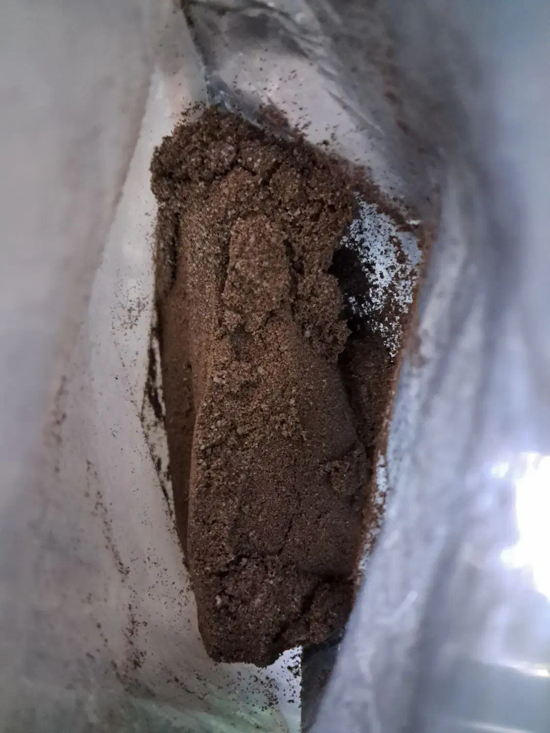 تخم میگو|ماهی|قرچک, مهدیه|دیوار