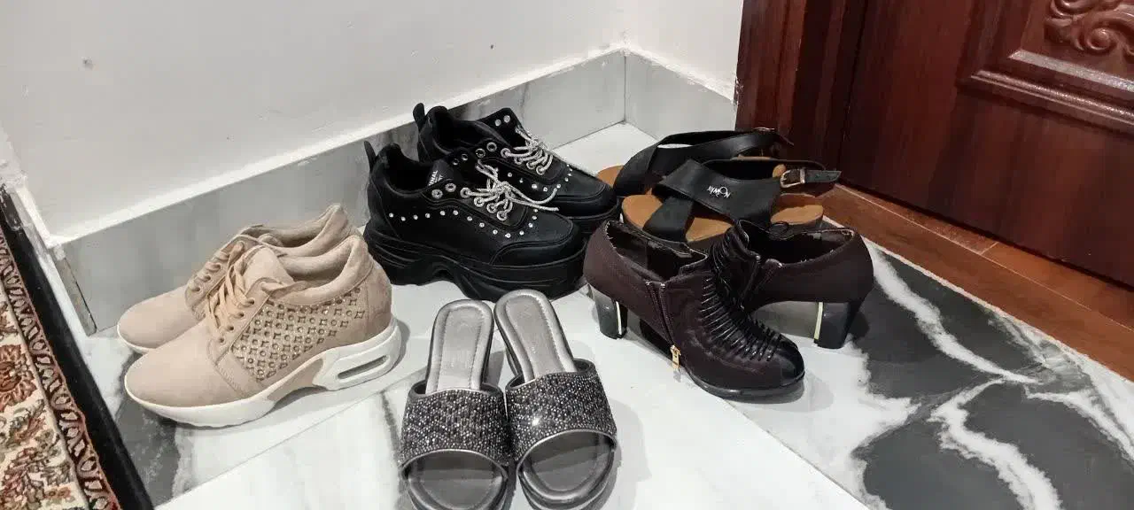 کیف کفش هفت سین|کیف، کفش، کمربند|دورود, |دیوار