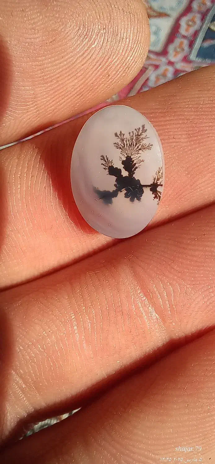 نگین شجر و انگشتر باباقوری|جواهرات|اقبالیه, |دیوار