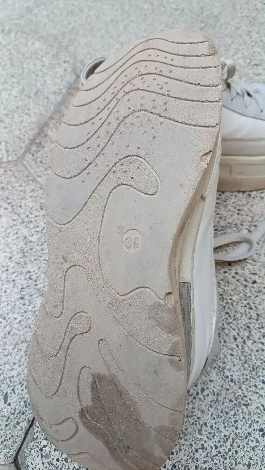 کفش زنانه|کیف، کفش، کمربند|قم, سرحوض|دیوار