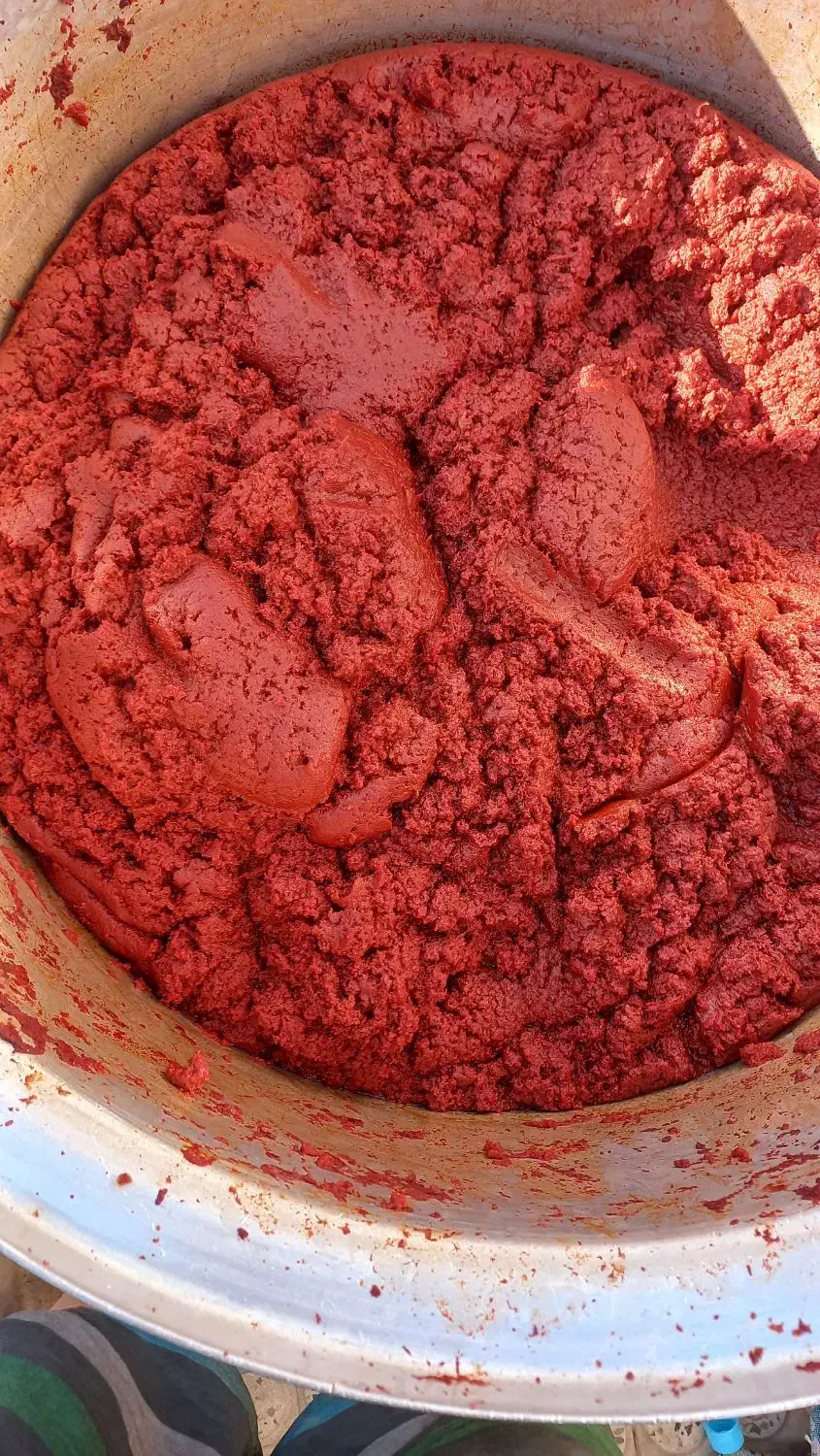 رب خانگی|خوردنی و آشامیدنی|آبیک, |دیوار