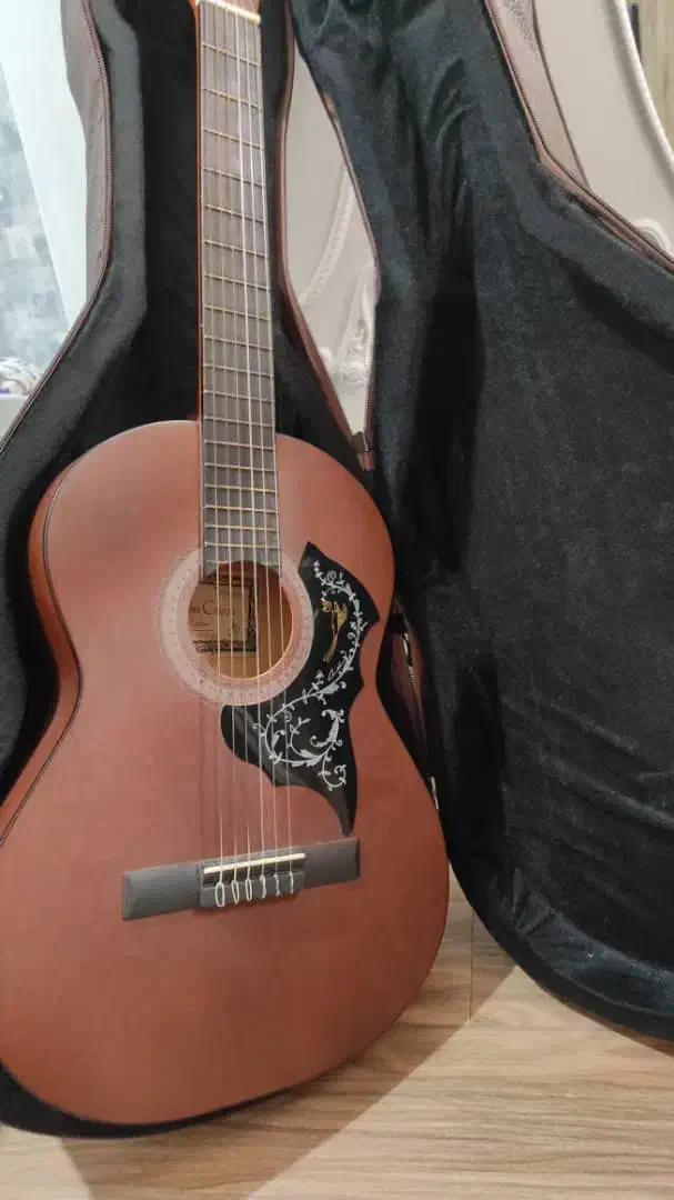 گیتار|گیتار، بیس، امپلیفایر|رشت, نظری|دیوار