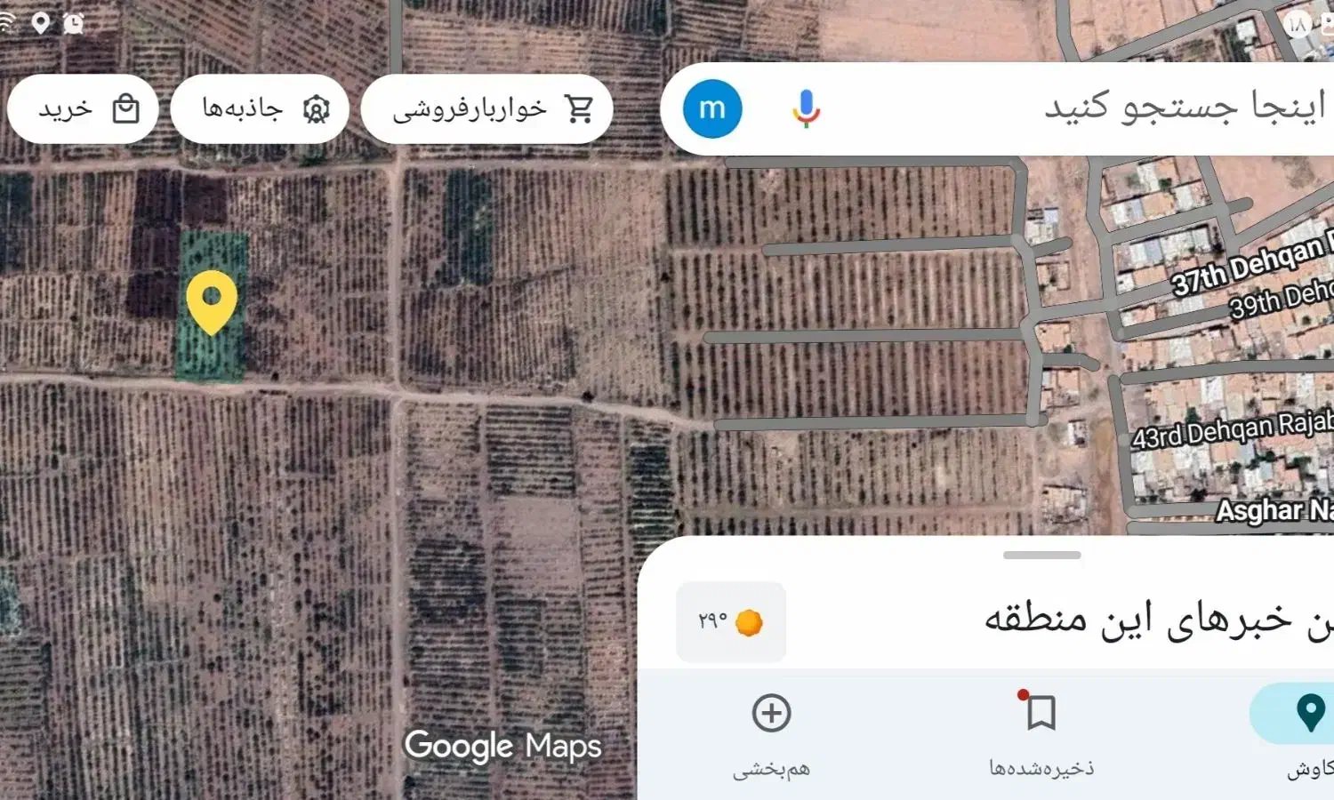 فروش ویژه زمین پسته ایی|فروش زمین و ملک کلنگی|رفسنجان, |دیوار