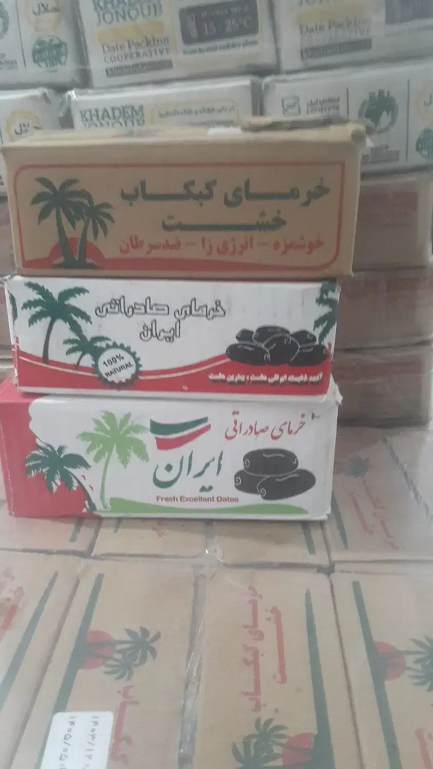 خرمای کبکاب|خوردنی و آشامیدنی|چهاربرج, |دیوار