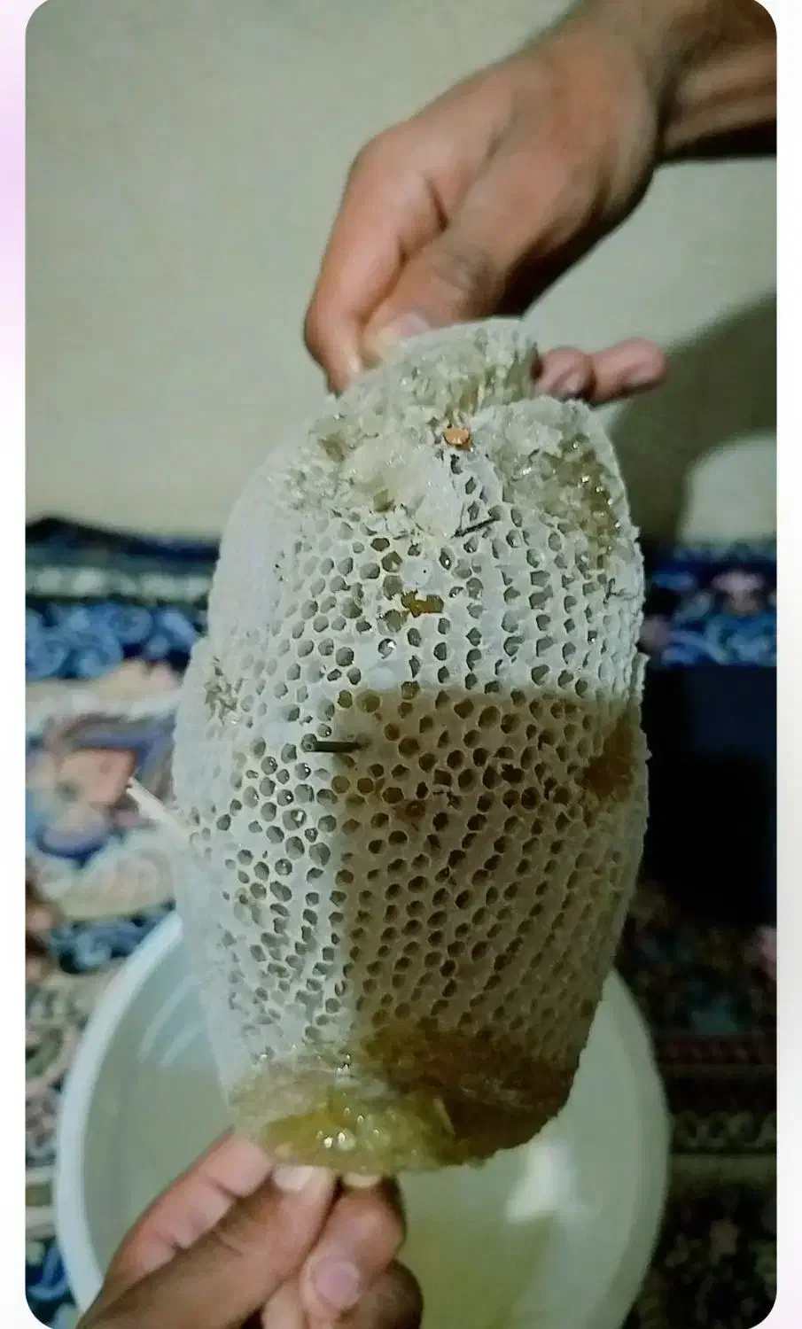 عسل طبیعی|خوردنی و آشامیدنی|کهنوج, |دیوار