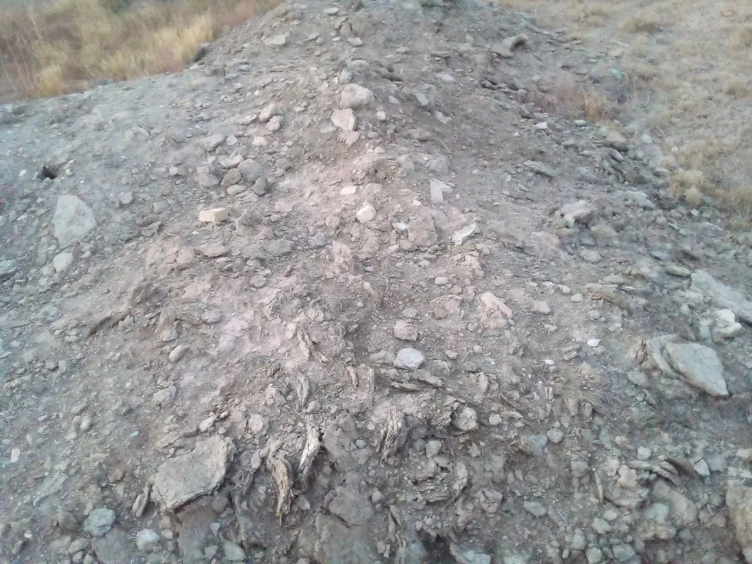 فوری فوری کود گوسفند ۶سال پوسیده|خدمات باغبانی و درختکاری|تاکستان, |دیوار