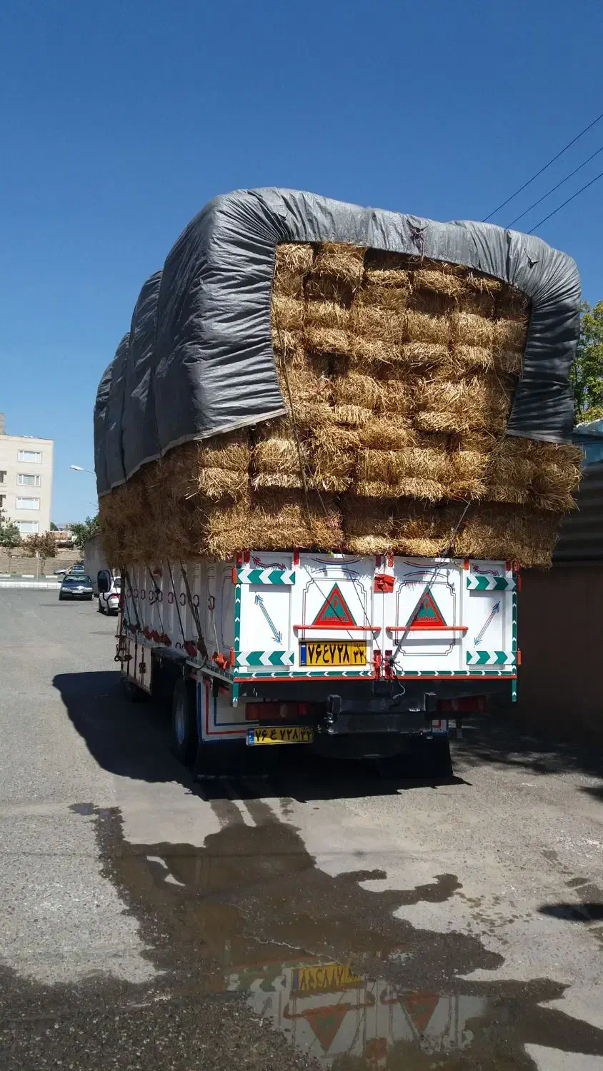 خرید وفروش  نهاده دام|خدمات باغبانی و درختکاری|سبزوار, امیر کبیر|دیوار