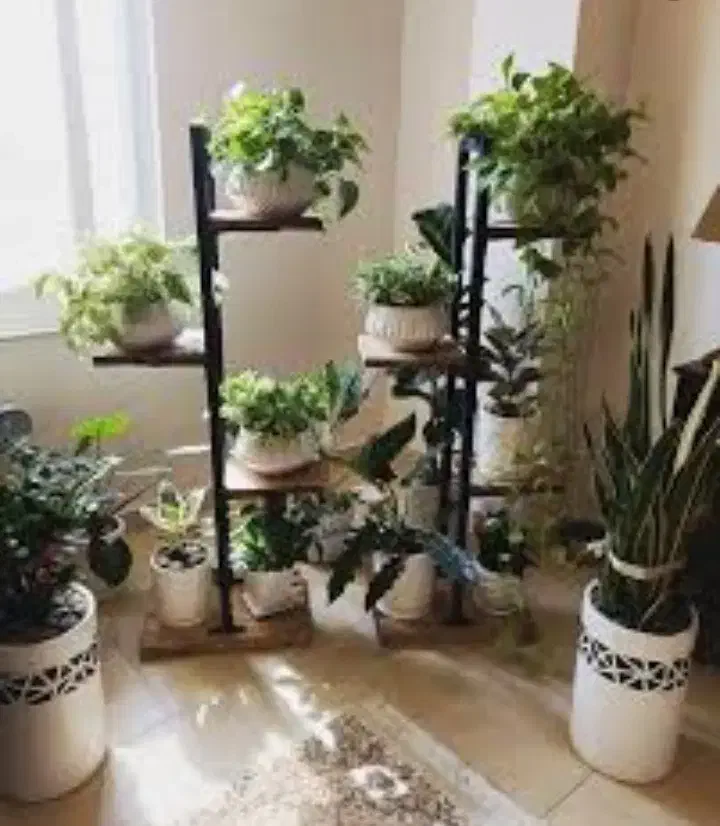 کلکسیون زیبایی|کلکسیون اشیاء عتیقه|قزوین, |دیوار