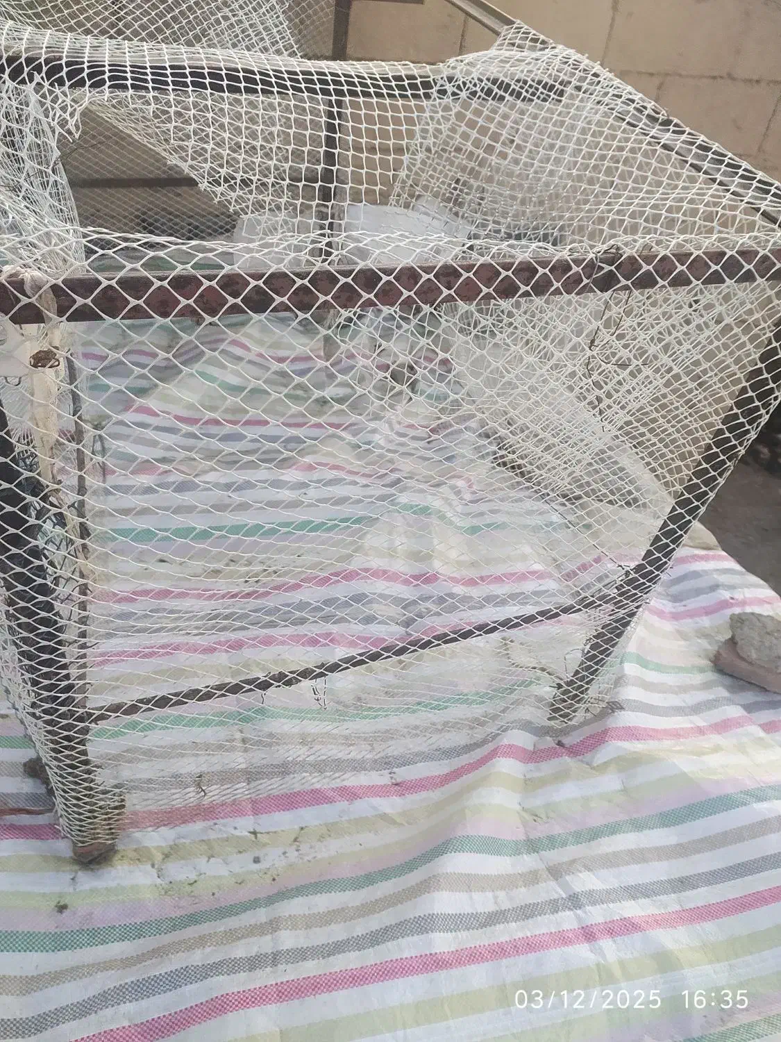 قفس فلزی|لوازم جانبی حیوانات|میاندوآب, |دیوار