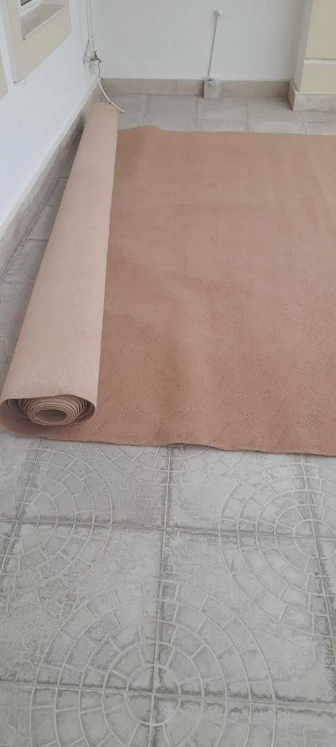 موکت در حد نو|موکت|شوط, |دیوار