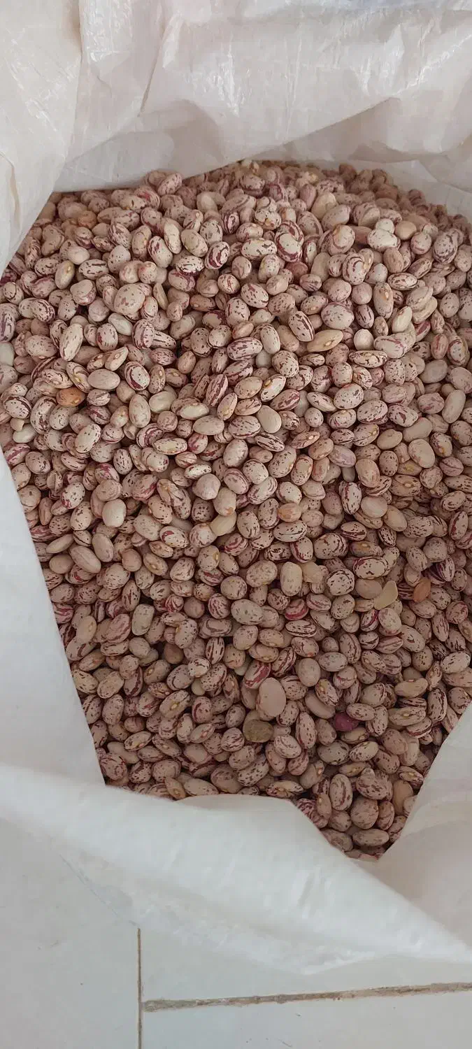 فروش لوبیا چیتی وسفید|خوردنی و آشامیدنی|تهران, دانشگاه شریف|دیوار