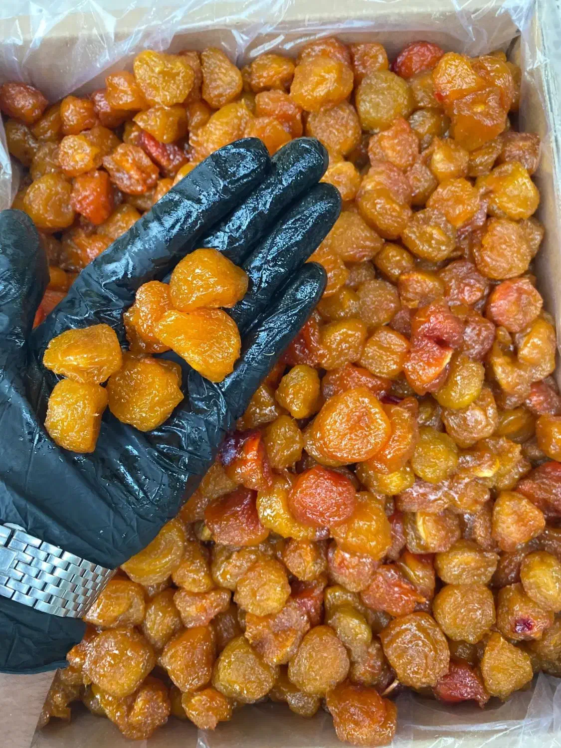 برنج و محصولات طبیعی|خوردنی و آشامیدنی|خرمشهر, |دیوار