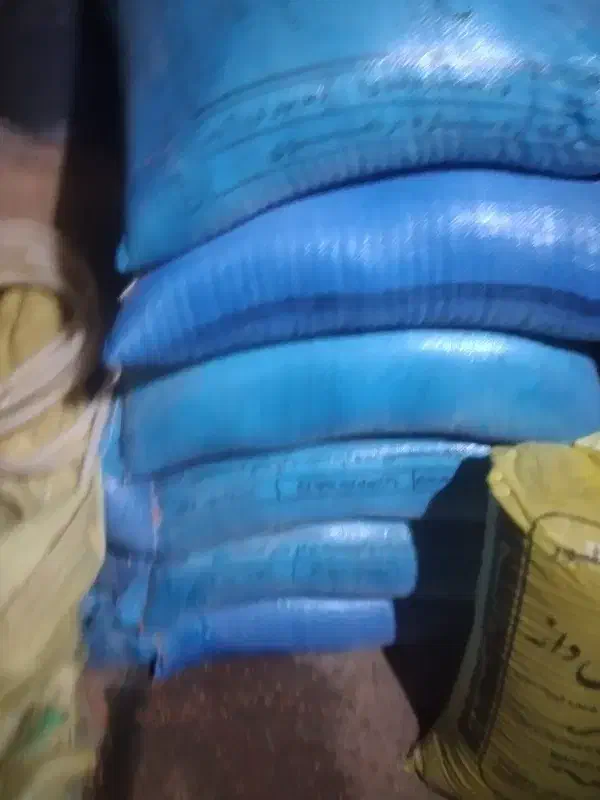 گندم ابی|کالسکه و لوازم جانبی|کنگاور, |دیوار