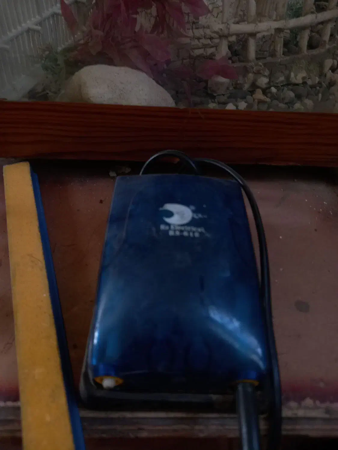 آکواریوم|ماهی|مشهد, فتح المبین|دیوار