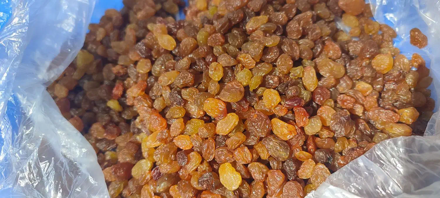 کشمش پلویی|خوردنی و آشامیدنی|ملایر, |دیوار