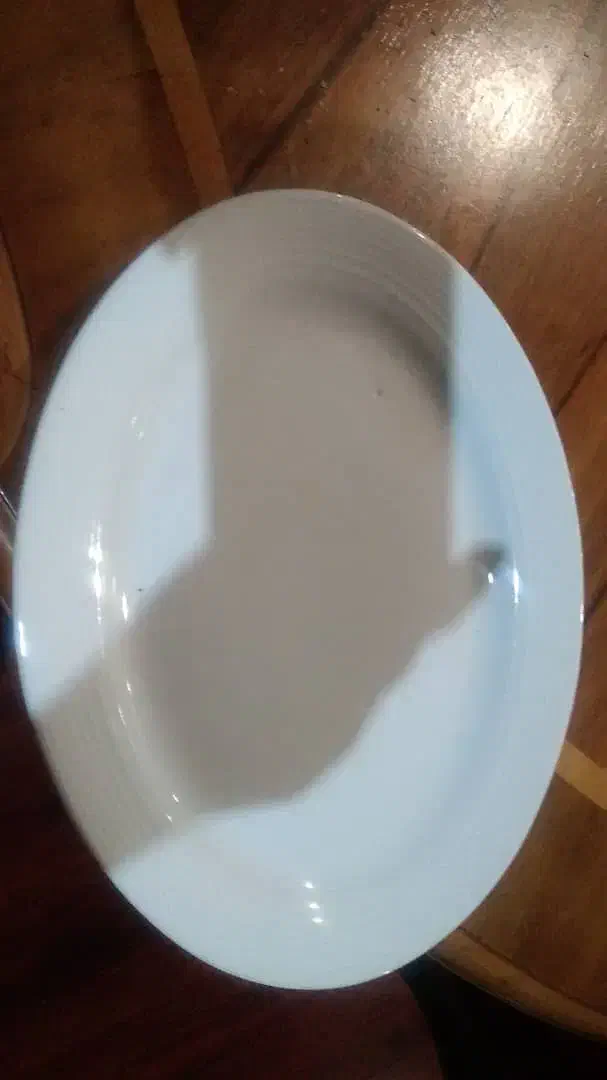 دیس چینی زرین|ظروف سرو و پذیرایی|تهران, نیلوفر|دیوار