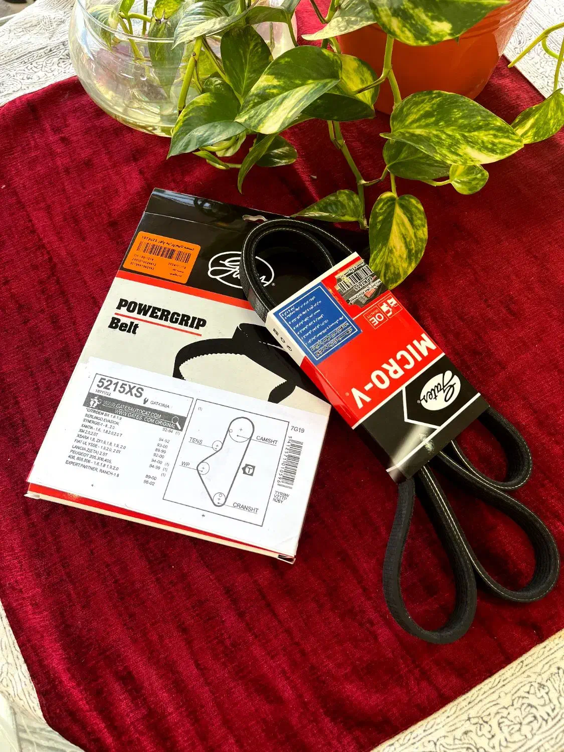 تسمه تایم کیت تایم و تسمه دینام پاورگریپ اصلی|قطعات یدکی و لوازم جانبی|شیراز, ریشمک|دیوار