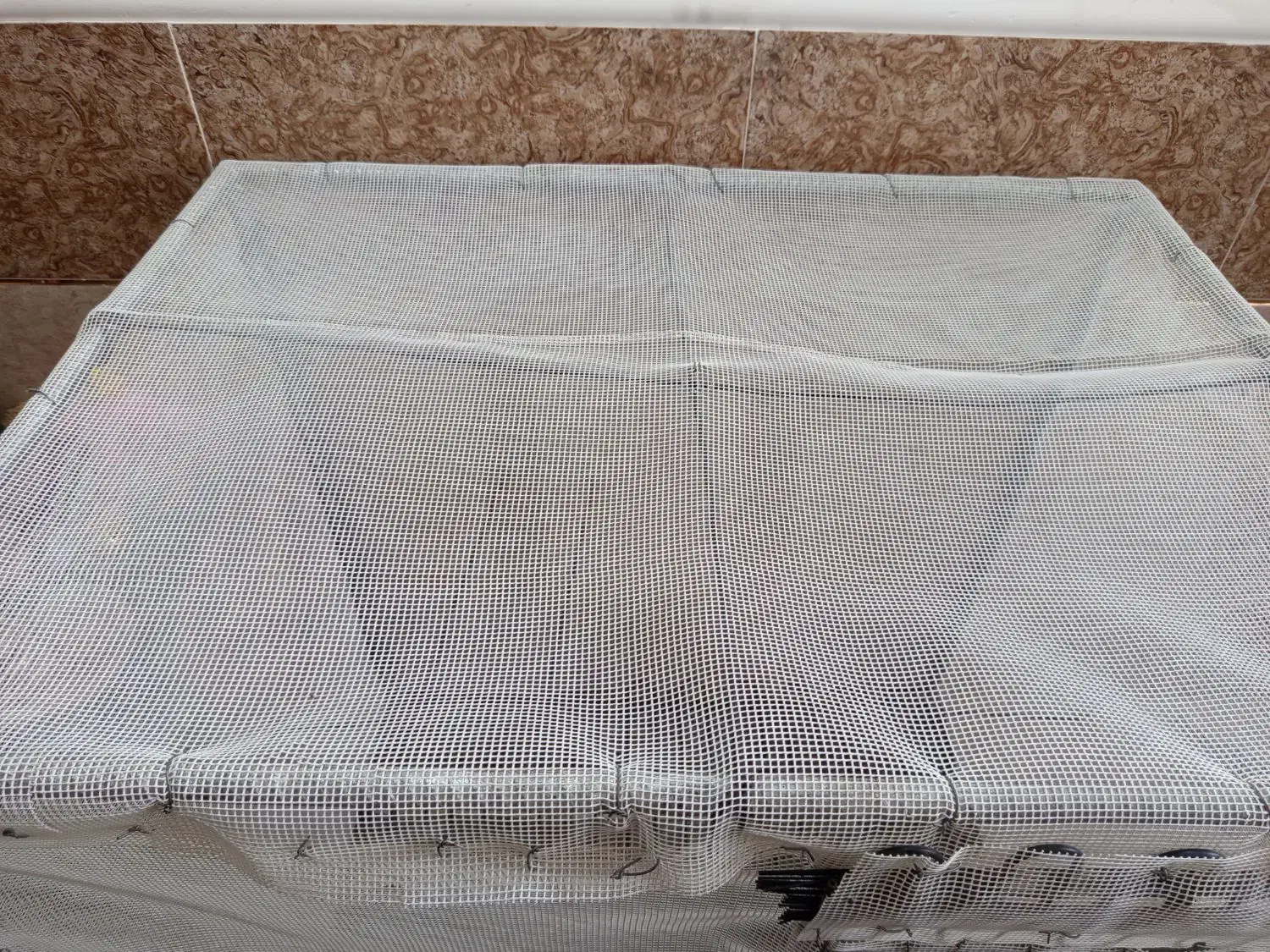 قفس|لوازم جانبی حیوانات|میناب, |دیوار