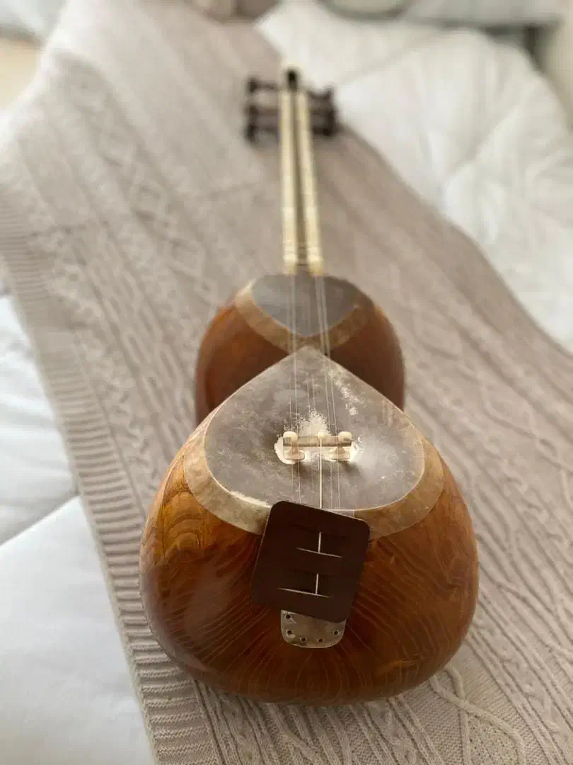 ساز تار بسیار خوش صدا و حرفه ای|سازهای سنتی|تهران, امام حسین|دیوار