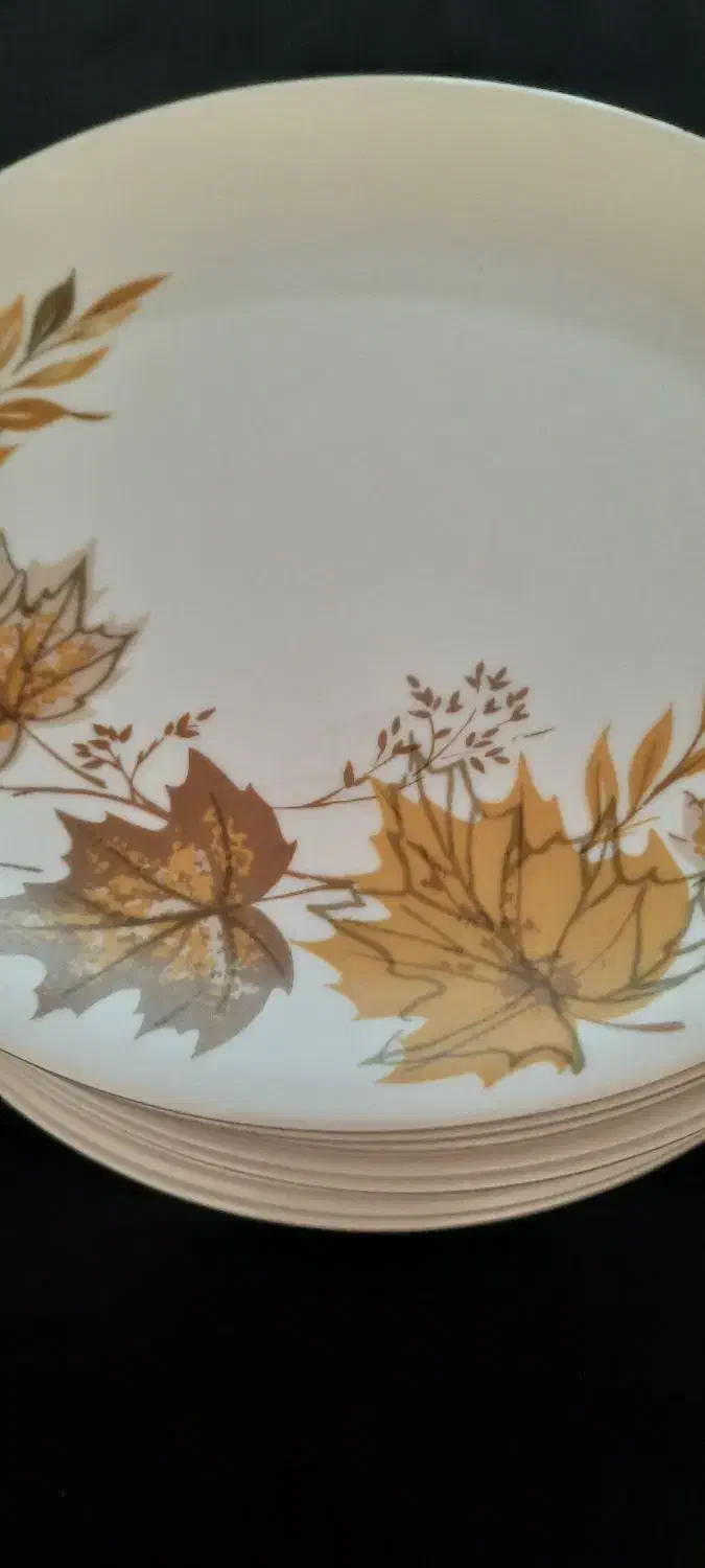 پلو خوری ملامین|ظروف سرو و پذیرایی|تهران, خزانه|دیوار