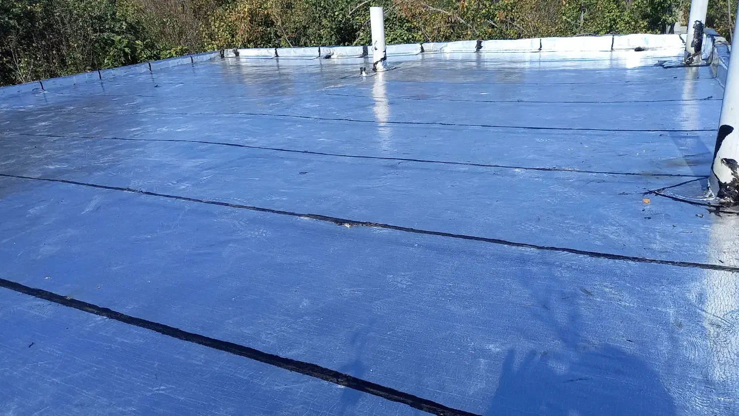 نمایندکی ایزوگام دلیجان|خدمات پیشه و مهارت|خمینی‌شهر, |دیوار