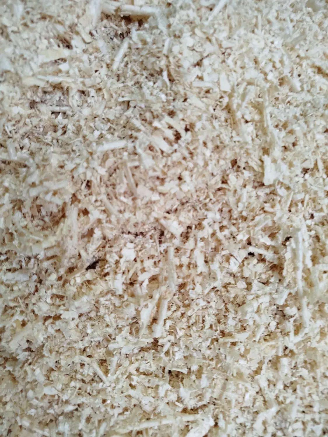 پوشال چوب / چوب روسی|لوازم جانبی حیوانات|تهران, خواجه نصیر طوسی|دیوار