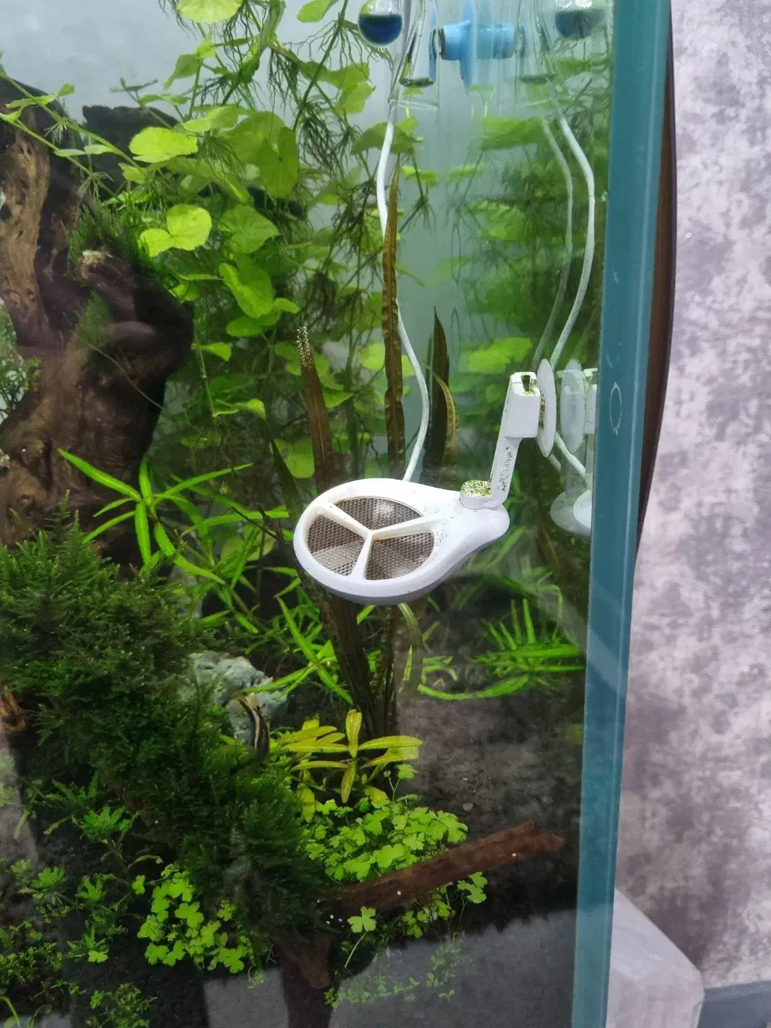 دستگاه نانو استرلایزر و پمپ هایلا|ماهی|اهواز, اسماعیلیه|دیوار