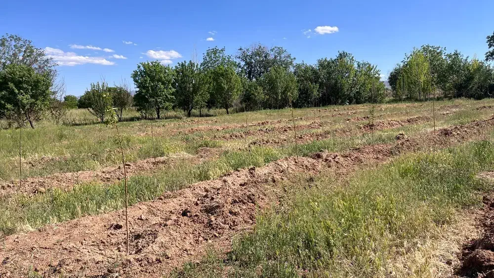 باغ درکهریز در متراژ مختلف|فروش زمین و ملک کلنگی|ابهر, |دیوار